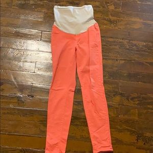 Coral maternity pants